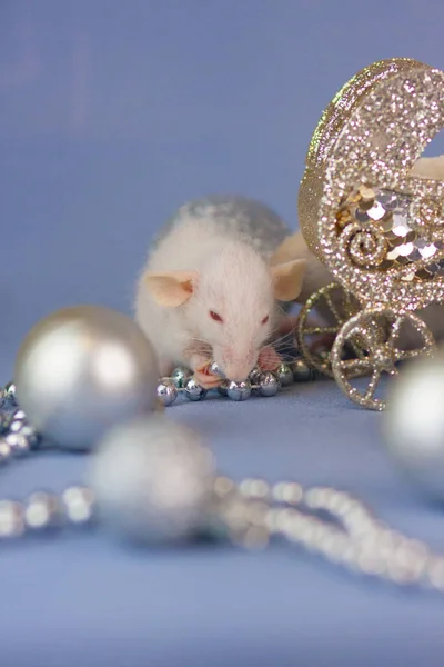 Szczur Srebrnymi Zabawkami Niebieskim Tle Drewnianą Białą Kołyską — Zdjęcie stockowe