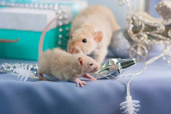 Des Souris Sur Une Table Nouvel Parmi Les Décorations Arbres — Photo