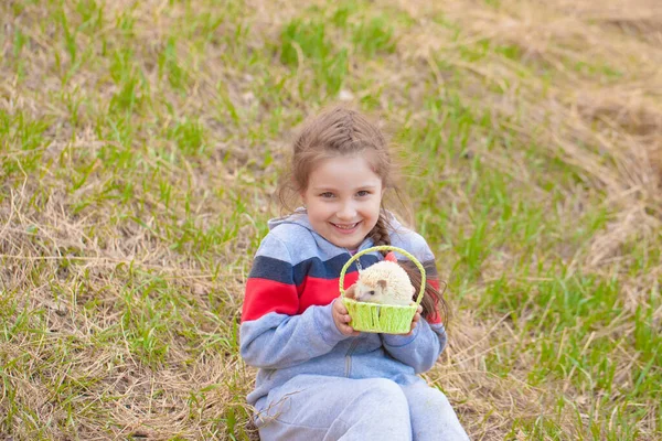 Menina Bonito Anão Pequeno Ouriço Gramado Primavera — Fotografia de Stock