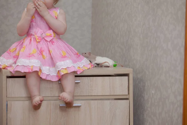 Menina Vestido Rosa Com Rato Artesanal — Fotografia de Stock