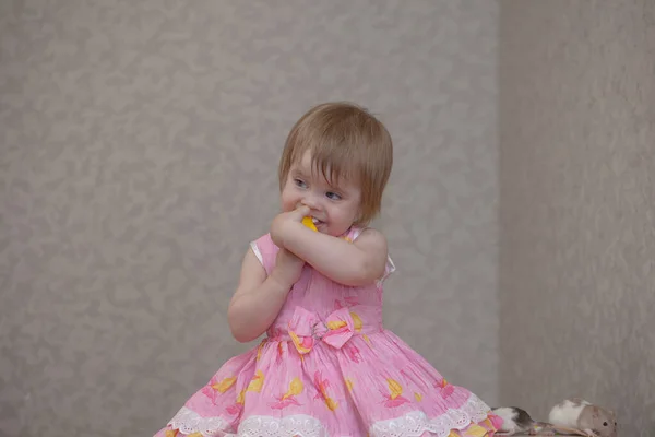 Menina Vestido Rosa Com Rato Artesanal — Fotografia de Stock