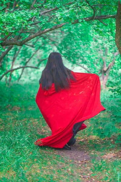 迷人的女孩 绿色的眼睛 红色斗篷 大自然与绿树之间的女巫 — 图库照片