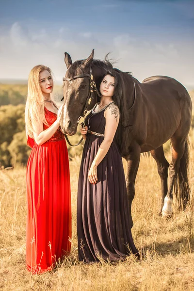 Morena Meninas Loiras Com Cavalo Preto Meninas Cabelos Longos Sexy — Fotografia de Stock