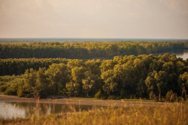 Nehir ve orman manzarası. Dramatik ürpertici sesler.
