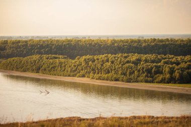 Nehir ve orman manzarası. Dramatik ürpertici sesler.