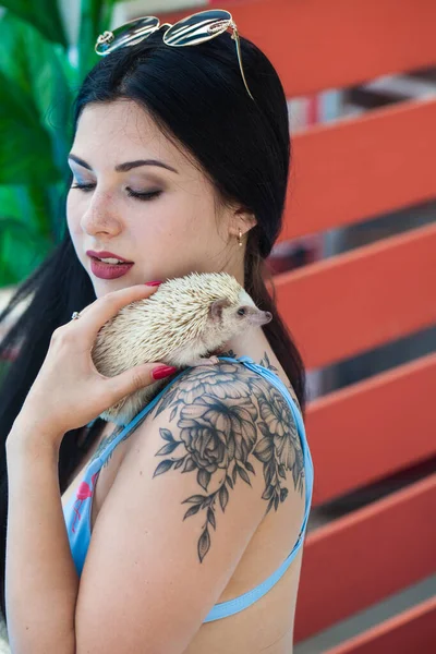 Morena Sexy Biquíni Perto Piscina Azul Com Anão Africano Hedgehog — Fotografia de Stock