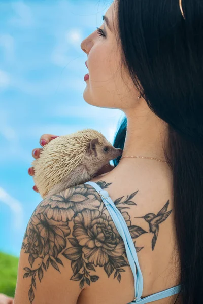 Morena Sexy Biquíni Perto Piscina Azul Com Anão Africano Hedgehog — Fotografia de Stock