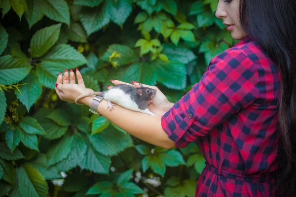 Bruxa Evoca Floresta Com Familiar Menina Morena Com Rato Dia — Fotografia de Stock