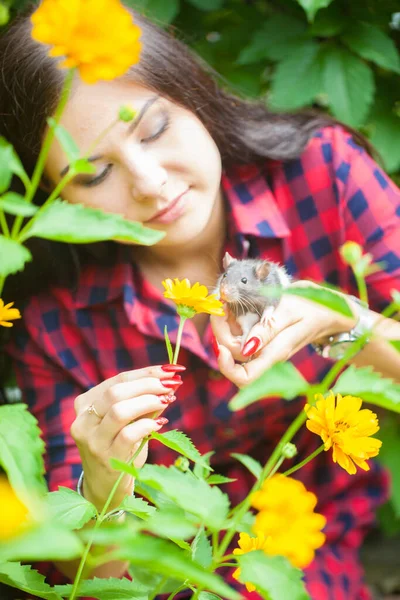 Відьма Чарує Лісі Знайомою Людиною Дівчина Пацюком День Усіх Святих — стокове фото