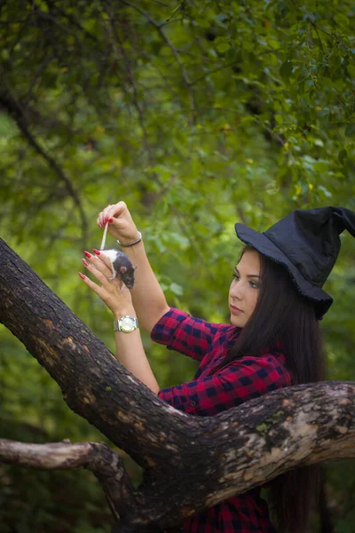 Sorcière Évoque Dans Les Bois Avec Familier Brunette Avec Rat — Photo