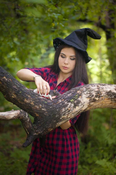 魔女はおなじみの森の中で思いを馳せる ネズミを連れたブルネットの女の子 聖人の日 ハロウィン — ストック写真