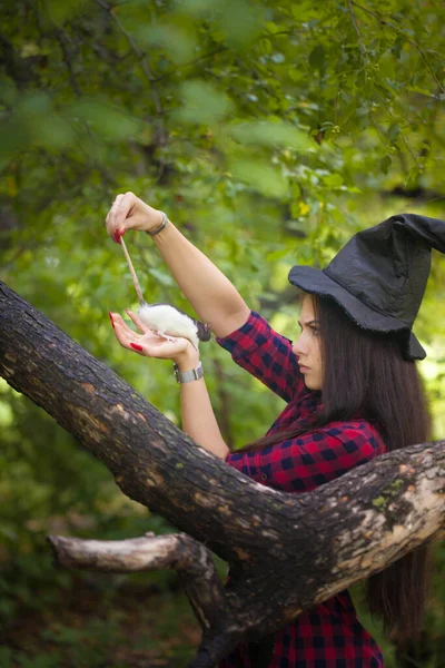 Čarodějky Vykouzlí Lese Známým Brunetka Krysou Den Všech Svatých Halloween — Stock fotografie