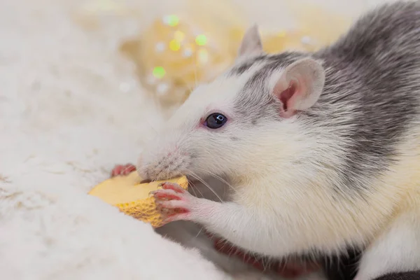 おはようございます。ママと赤ちゃん。小さくてかわいい. — ストック写真