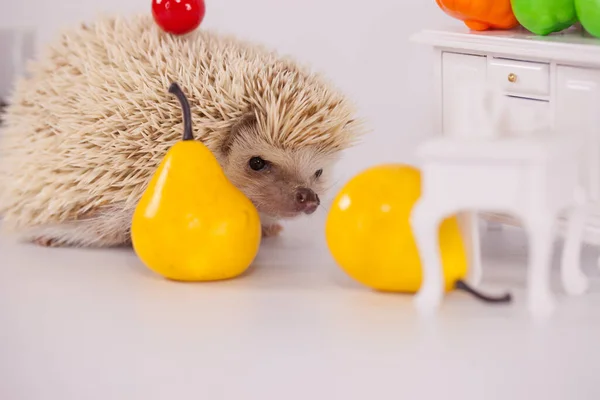 Positive Einstellung Und Gute Laune Haben Sie Ein Schönes Tageskonzept — Stockfoto