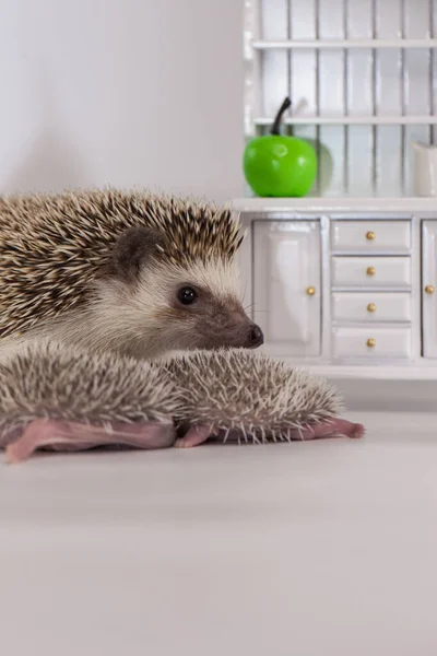 Positive Einstellung Und Gute Laune Haben Sie Ein Schönes Tageskonzept — Stockfoto