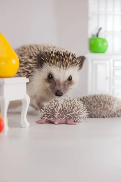 Positive Einstellung Und Gute Laune Haben Sie Ein Schönes Tageskonzept — Stockfoto