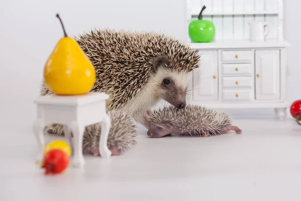 Positive Einstellung Und Gute Laune Haben Sie Ein Schönes Tageskonzept — Stockfoto