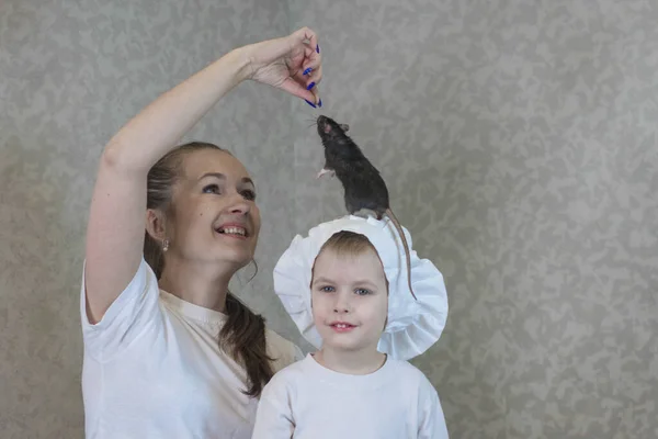 The gray rat on the head of a little cook and her mother