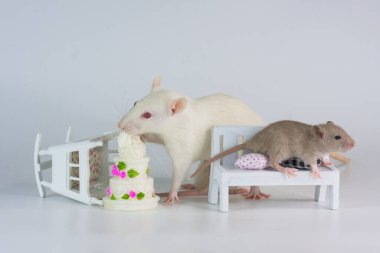 Beyaz arka planda parlak bir fare