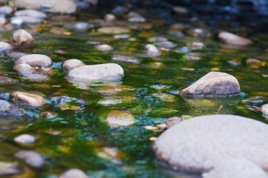 Güzel manzara. Parlak renkler. Merhaba yaz Parlak renkler