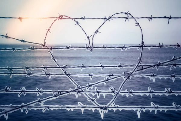 heart of barbed wire