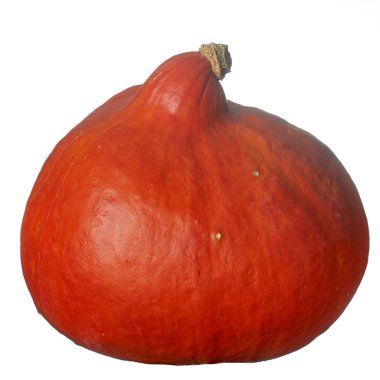 Beyaz arkaplanda izole edilmiş turuncu balkabağı