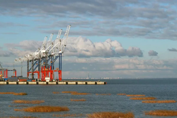 Port cranes against the sky — Stock Photo, Image