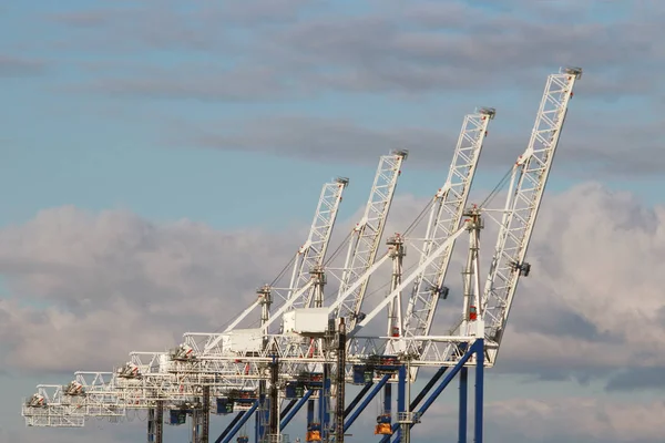 Port cranes against the sky — Stock Photo, Image