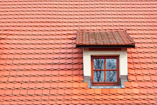 Röd bältros på taket med fönster — Stockfoto