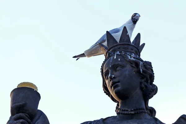 Paloma está sentada la cabeza de la estatua en la corona — Foto de Stock