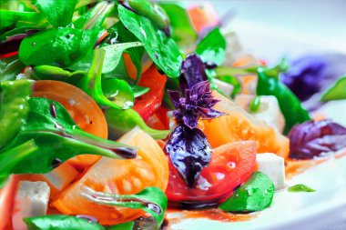 Taze sebze salatası. Kırmızı ve sarı domates, fesleğen, keçi peyniri. Konsept: sağlıklı gıda.