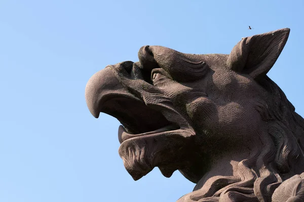 Escultura: cabeza Griffin marrón contra el sk — Foto de Stock