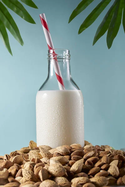 Susu almond dalam botol dengan sedotan di antara almond, latar belakang biru — Stok Foto