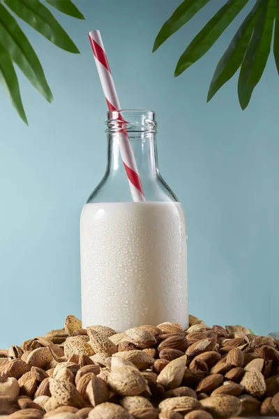 Mandula tej palackban, szalma között mandula, kék háttér Stock Kép