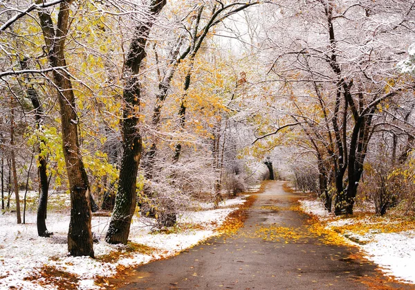 Şehir Parkı ilk kar