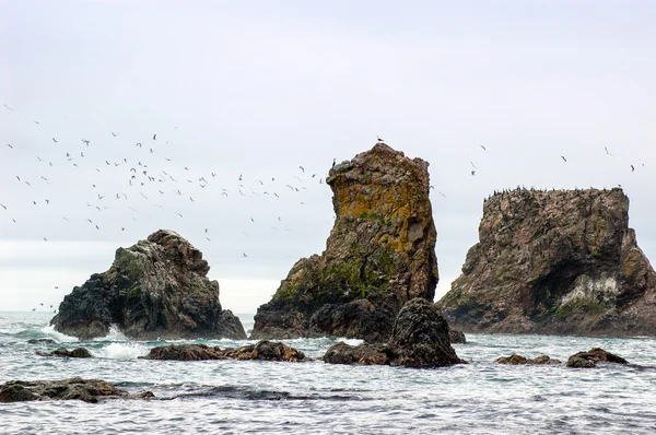 Doğa, Sakhalin Adası