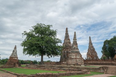 Mahvolmuş Eski Ayutthaya Tapınağı, Tayland