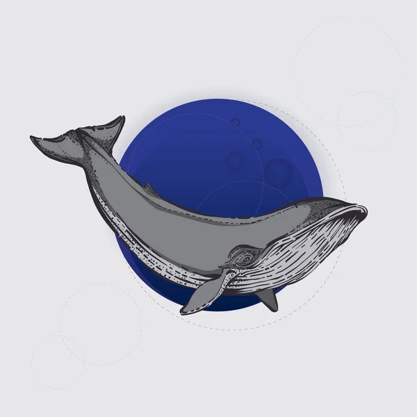 Yaz dolphlin desen tasarım