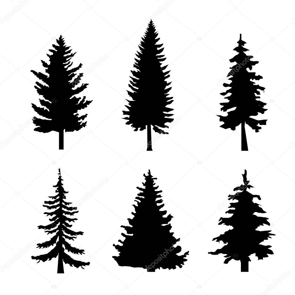 Set of Black Silhouettes of Pine Trees on White Background