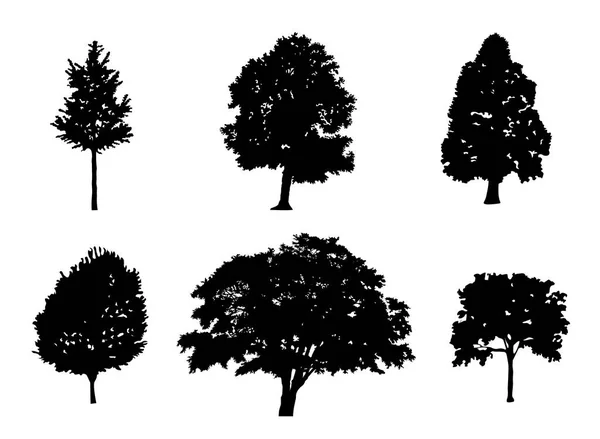 Baum Sammlung Vektor Silhouette — Stockvektor