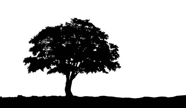 Arbre sur la silhouette de colline sur le vecteur — Image vectorielle