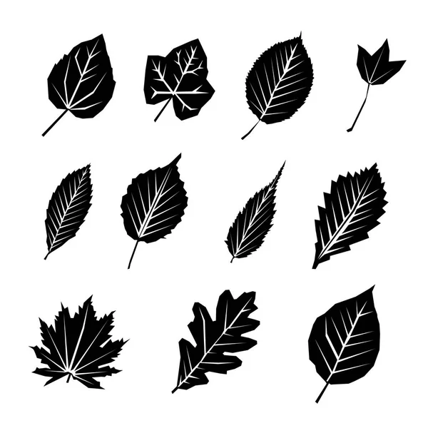 Set ikon siluet hitam daun - Stok Vektor