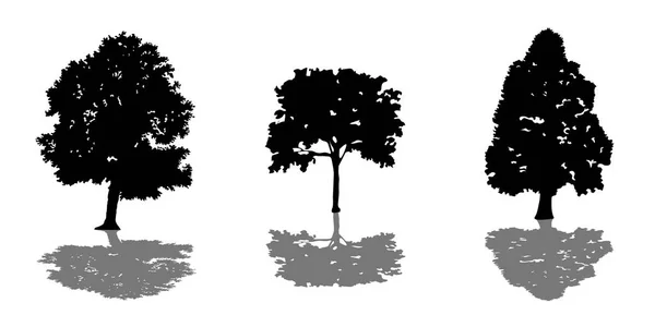 Conjunto de árvores de silhuetas pretas com sombra — Vetor de Stock