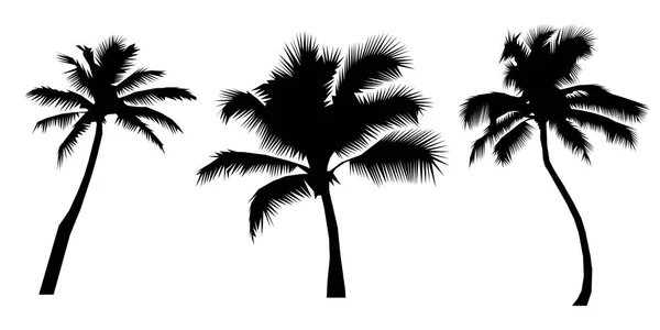 Siluetas realistas de palmeras — Vector de stock