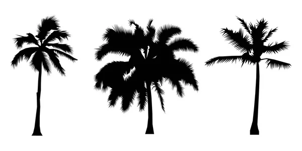 Set of silhouette coconut trees, natural sign, vector illustration — Stock Vector