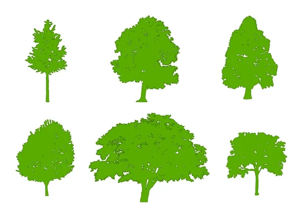 Drzewa zielone sylwetki dąb, topola, klon czerwony, klon cukrowy, dąb, brzoza. Płaska konstrukcja, ilustracji wektorowych — Wektor stockowy