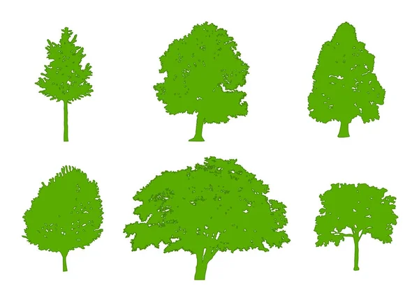 녹색 실루엣 오크, 포 플 러, 빨강 단풍나무, 설탕 단풍나무, 오크, 박 달 나무 나무. 평면 디자인, 벡터 일러스트 레이 션 — 스톡 벡터