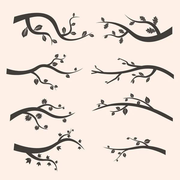 Stilize siyah ağaç dalı siluetleri yaprakları ile. Ağaç şube vektör çizim seti