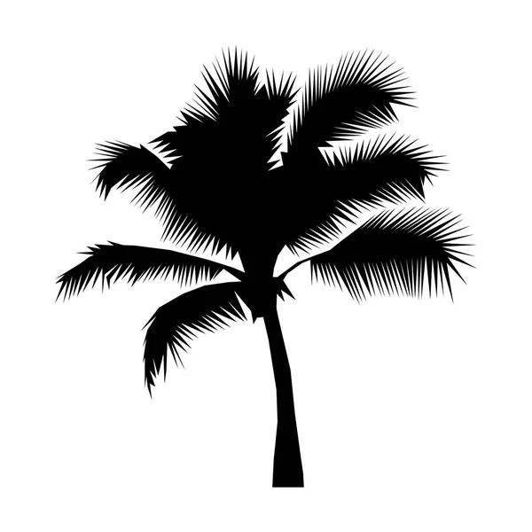 Coconut palm silhouette noire isolée sur une illustration de fond blanc. Icône, signe. Art logo design — Image vectorielle