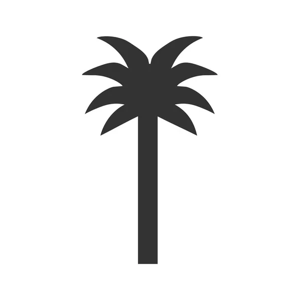 Zwarte één palm Boom silhouet pictogram geïsoleerd vectorillustratie — Stockvector